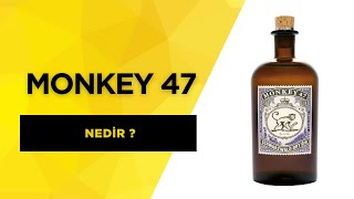 Nedir bu MONKEY 47 cin? MONKEY 47 hakkında öğrenmek istediğiniz her şey...#monkey47 #gin