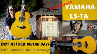 (Not My) New Guitar Day! | Yamaha LS-TA TransAcoustic Steel String Guitar