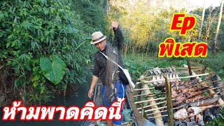 ເຂົ້າປ່າ ເລາະເບີ່ງນ້ຳທີ່ໃສ,วิถีชาวบ้าน2021,ຊອກອາຫານກີນເຂົ້າສວຍ, เลาะเบี่งน้ำที่ใส ใสจนยากอาบ