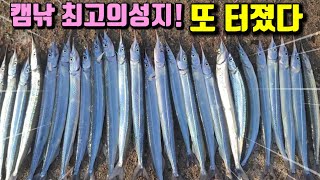 사이즈 돼지학꽁치 또 터지는구나~포인트위치공유(계도방파제좌대\u0026민박정보) 노지캠낚의성지ft감성돔 고등어회