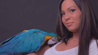 Mxtube.org :: macaw porno Mp4 3GP Video & Mp3 Download unlimited ...