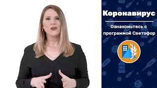 Ознакомьтесь с программой Светофор