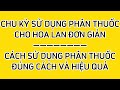 Sử dụng phân thuốc đúng cách, chu kỳ phân thuốc cho hoa lan đơn giản | hoa lan Trần Khương