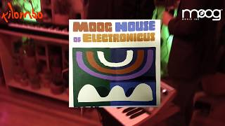 ביקור ב Moog House Of Electronicus