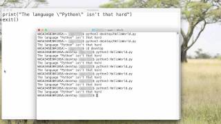 Python: Using Quotes within Strings