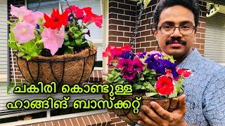 ചകിരി കൊണ്ടുള്ള ചെടിച്ചട്ടി | Gardening Malayalam | Petunia Flower | Coconut Liner Hanging Basket