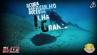 Mergulho na Ilha Grande - Elite Dive