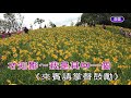 阿卿 緣長情短 ktv