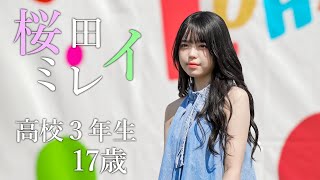 【高校3年生 17歳】桜田ミレイ『にじいろ / 絢香』ロハスフェスタ 淡路島 [4K]