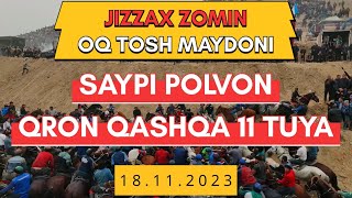 SAYPI POLVON - QRON QASHQA 11 - TUYA