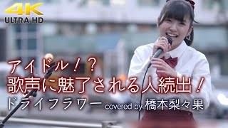 【 圧巻 】アイドル！？ でもその歌声に魅了される人続出！　ドライフラワー / 優里（cover）\