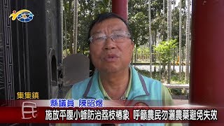 20190329 民議新聞 施放平腹小蜂防治荔枝椿象 呼籲農民勿灑農藥避免失效(縣議員 陳昭煜)