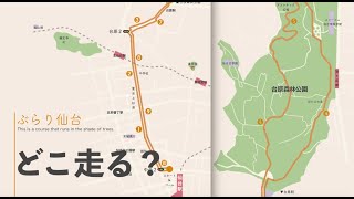 仙台のおすすめランニングコース紹介🏃‍♂️仙台駅（宮城交通高速バスセンター前）→愛宕上杉通→台原森林公園→愛宕上杉通→仙台駅＃仙台を走る＃台原森林公園＃仙台散歩＃旅ラン＃木陰ランニングコース＃夏ラン