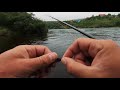 Ловля СЕМГИ в середине сезона река КОЛА atlantic salmon fly fishing mid season of kola river.