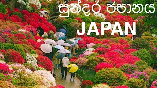 සුන්දර ජපානය | Beautiful Japan