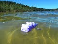 Lazy hippo in the lake