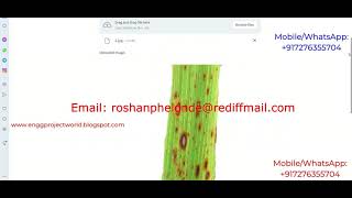 Paddy Leaf Disease Detection Using Image Processing Python Project With Source Code | Paddy Disease