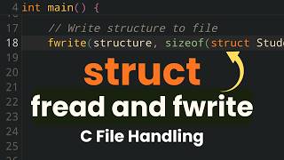 Write and Read Structure Data to a Binary File in C Programming using fwrite and fread