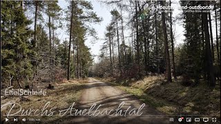 EifelSchleife Durchs Auelbachtal