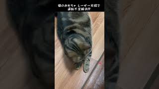 ポインターで運動不足解消！？  光る猫用おもちゃ じゃれ猫 LEDにゃんだろー光線  ｷｬﾃｨｰﾏﾝ  Light toy  #shorts#cat