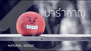 น่ารำคาญ  : NATURAL SENSE ( OFFICIAL LYRICS VERSION )