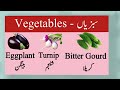 vegetables name with urdu meanings and pictures sabzion k name english me vegetables in english