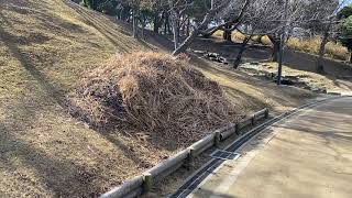 長久手市　自然がいっぱい、杁ヶ池公園の散策