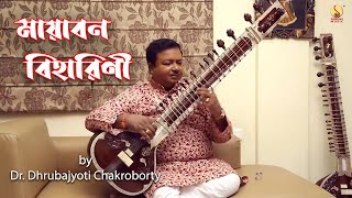 Mayabono Biharini (Rabindrasangeet-Instrumental) | Dr. Dhrubajyoti Chakraborty | Tuhin Sengupta