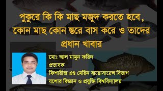 পুকুরে কোন মাছ কোন স্তরে বসবাস করে, কি কি মাছের পোনা মজুদ করা উচিত ও এদের প্রধান খাবার।