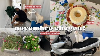 VLOG: BOLO DE TAPIOCA + VACINAS + MONTANDO A ÁRVORE DE NATAL