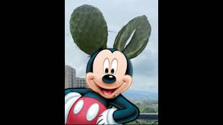 Mickey Mouse在哪裡？ #仙人掌 #米邦塔 #多肉植物