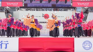 [4K] 学生団体コンパスよさこいチーム叢雲　高知よさこい祭り 2019 本祭1日目 (中央)