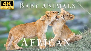 African Baby Animals - Top 60 Baby Animals African - 4K UHD Real - Relaxing Nature Sounds.