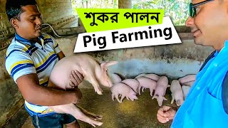 শুকর পালনে কতটা লাভ? 🙄 | Inside Hybrid Pig Farming | Indian #BanglaVlog