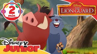 The Lion Guard | It's Christmas In The Pridelands Song | Disney Junior UK