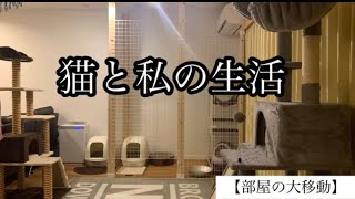 【寝不足解消】これしか、方法は無かった😮‍💨ヤンチャむぎとは、同じ部屋では寝れない。むぎとごまはリビングに居てもらうことにした。