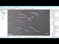 3d morphometry toolbox demonstration video