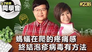 螞蟻在爬的疼痛感 終結泡疹病毒有方法【57健康同學會】第238集-2011年