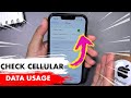 How To Check Cellular Data Usage By App On Iphone