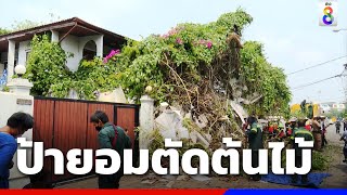 ป้ายอมตัดต้นไม้โตล้ำถนน อ้างกลัวคนสอดแนม | ข่าวช่อง8