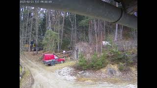 🍀Waldarbeiten🌳 Hausgrosse Harvester Maschine🏴‍☠️ Lebensgefahr an Grundstücksgrenze 🤬Folgen🤬 Iststand