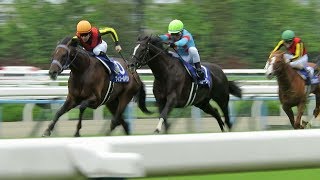 H31.04.28　ＧⅠ　天皇賞　優勝馬「フィエールマン」　京都競馬場