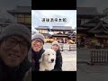 【7日目】グレートピレニーズと11日間のキャンピングカーの旅 グレートピレニーズ greatpyrenees 旅行vlog shorts doglovers