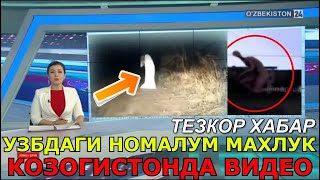 МАШИНАСИ БОРЛАР УЧУН 3 ТА ЖИДДИЙ ХАБАР УЗБДА.....