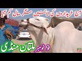 Multan Janwar Mandi || Cholistani Nukre Ablk Gulabi Sahiwal Bachre || Chand TV Punjab Farming🔥