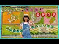 桃園花彩節2024大溪水岸花卉農遊-花彩盛艷