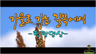 [영상문학]- 가을로 가는 길목에서/ 힐링영상 (2022.09.20 촬영)