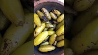 Billy Curry 🥒🥒🥒 කමුද රසම රස බිලිං කරියක් 🥒🥒 #shorts #short #shortsfeed #cooking #shortvideo