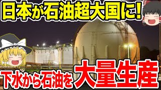 【ゆっくり解説】下水から300年分の石油を大量生産‼️日本の技術がとんでもないレベルに