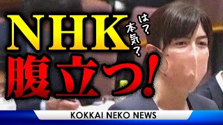 小野田紀美「NHKスクランブル化しろ！」「ネットからも受信料は正気の沙汰じゃない！」国会中継